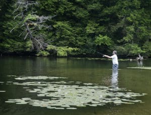 Photo of fly fisherman in stream.