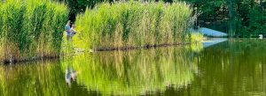 Fishing from the dam at Wood Creek Pond State Park, Norfolk, Conn.