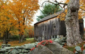 Barn with Fall Leaves, runner up in "My Norfolk" photo contest.