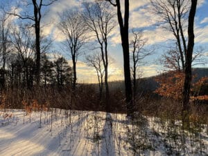 Beech Hill Loop, runner up in "My Norfolk" photo contest.