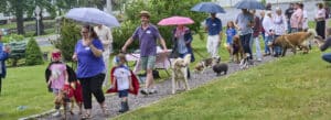 Photo pf people and their pets parading around the Village Green, Norfolk, Conn.