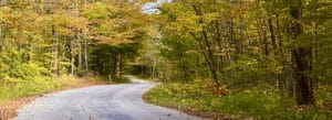 Photo of fall foliage along a winding road, Norfolk, Connecticut.