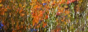Photo of bright fall foliage reflected in water, Norfolk, Connecticut.
